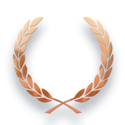 Castle-Town Logo